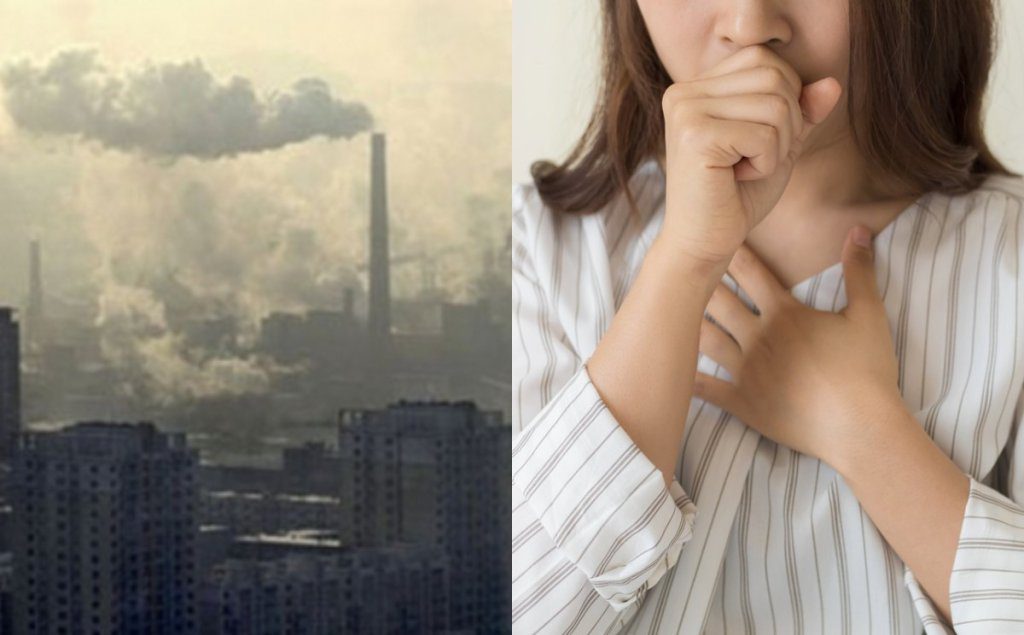 Polluted Air and Smoke Can Affect Your Fertility and Body Organs