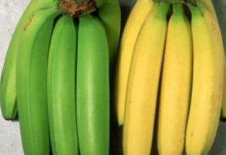 What are the Benefits of Green Banana?  Is Green Banana Harmful?