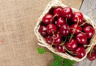 Does Cherry Gain Weight?  Does it weaken?  How Many Calories?