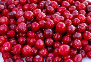 What Are Cranberry Benefits (Cranberry), What Is It Good For?