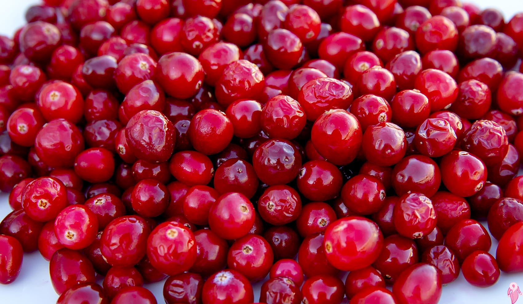 What Are Cranberry Benefits Cranberry What Is It Good For