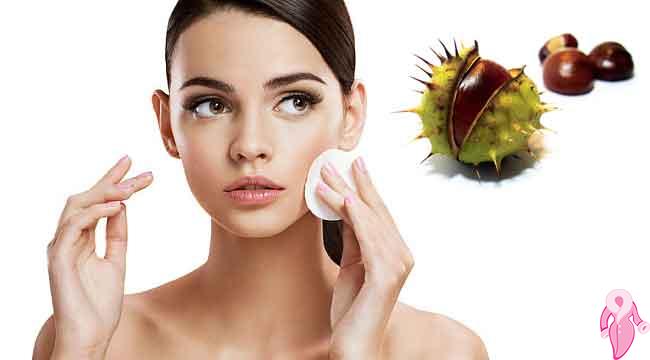 What are the Benefits of Chestnut for the Skin Chestnut Mask Recipe