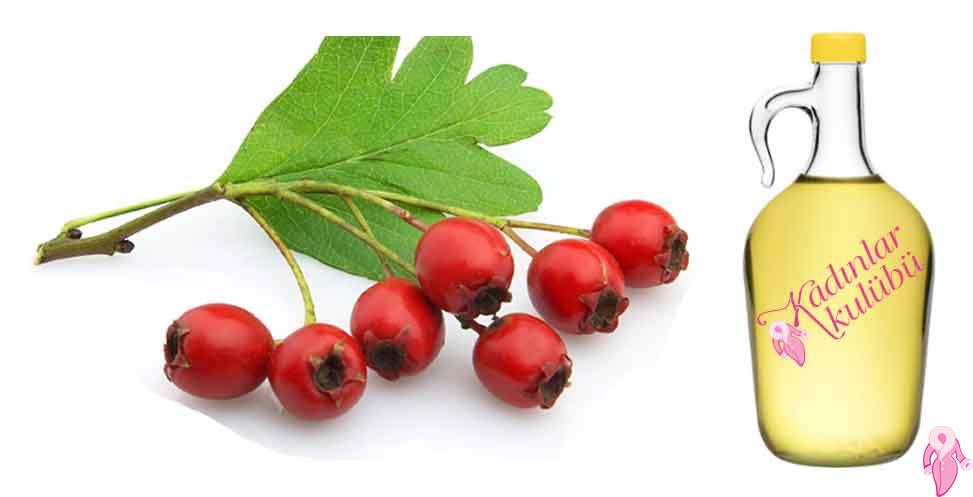 Does Hawthorn Vinegar Help Weight Loss Does it weaken How to Drink