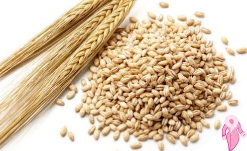Fast Weight Loss Opportunity Thanks to Barley Diet