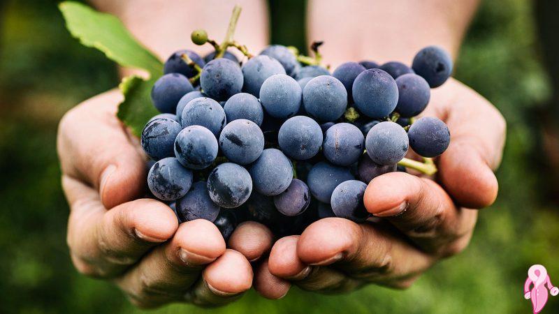 How to Make 3 Weight Loss Grape Diet in 3 Days
