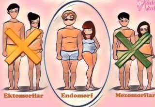 What is the Endomorph Diet?  3 Things You Should Know About Mesomorphs, Ectomorphs