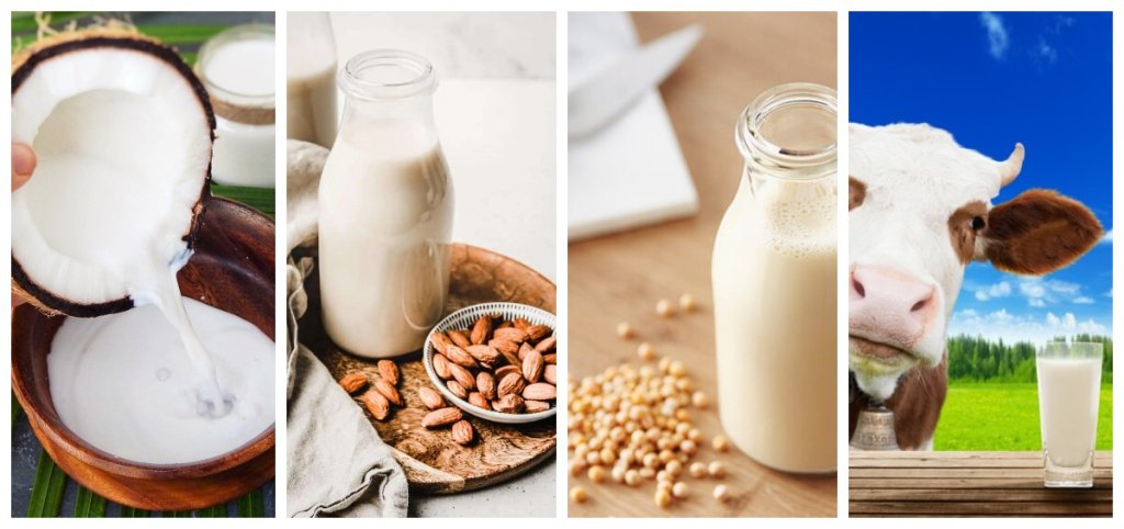 The 6 Healthiest Milks According to a Dietitian
