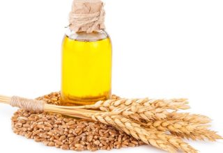 Wheat Germ Oil: The Perfect Oil for Winter