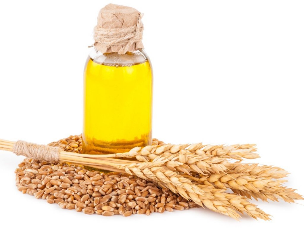 Wheat Germ Oil The Perfect Oil for Winter